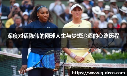 深度对话陈伟的网球人生与梦想追逐的心路历程